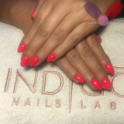 Dodano: 17 cze 2019 o 14:29