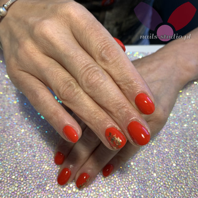 Dodano: 13 sie 2020 o 12:55