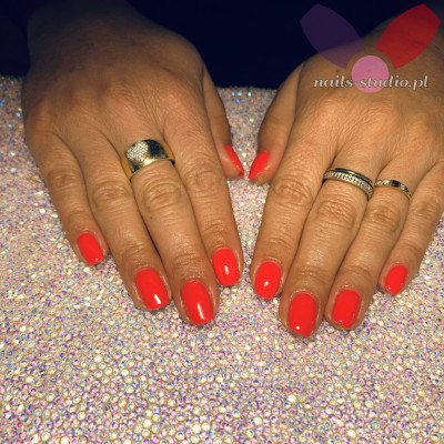 Dodano: 13 sie 2020 o 18:54