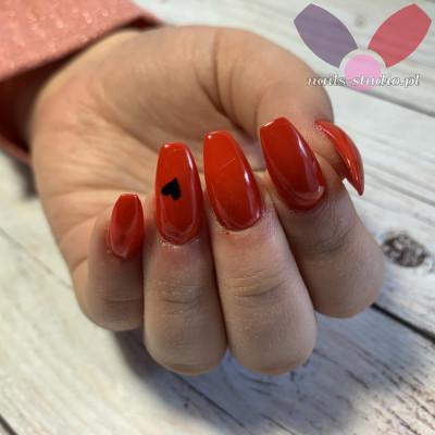 Dodano: 06 lut 2022 o 19:29