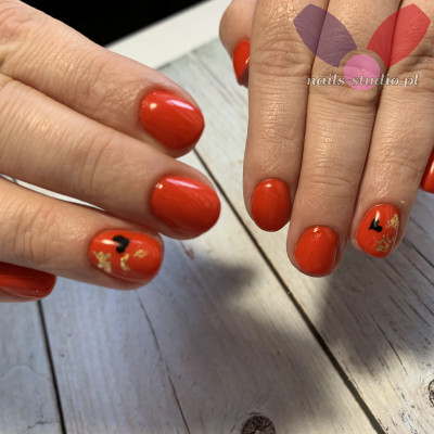 Dodano: 20 lut 2022 o 09:04